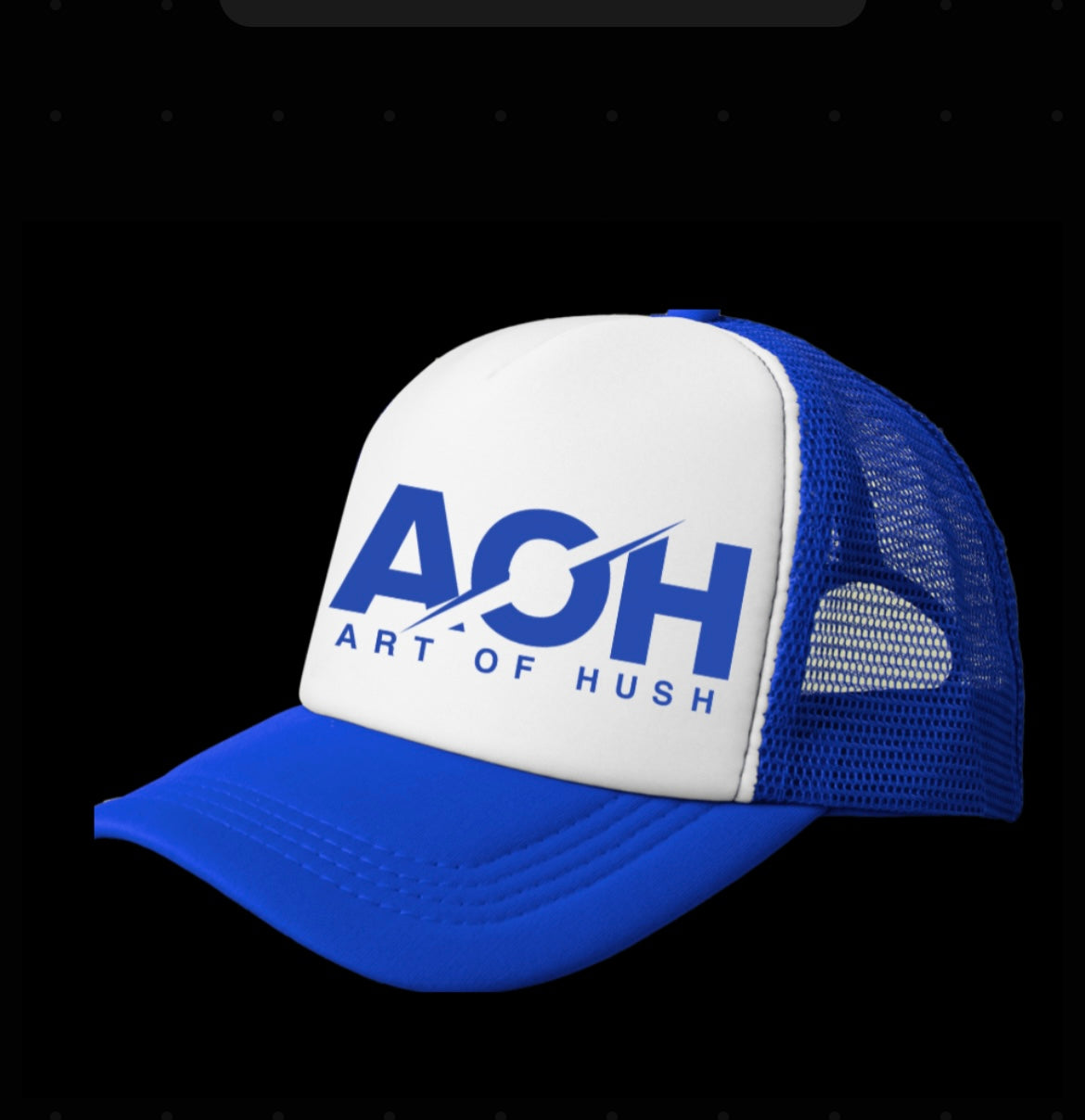 AOH TRUCKER HAT (BLUE)
